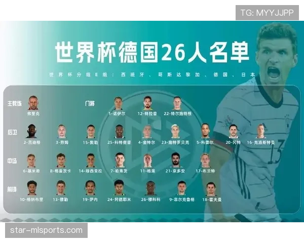 E组球队主力阵容解析 E组球队主力阵容解析